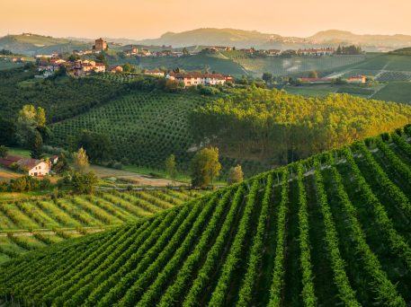 Piedmont-wine-travel-guide