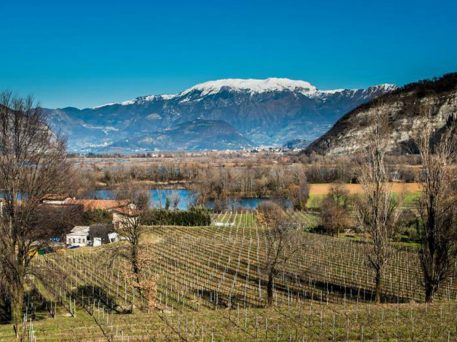 franciacorta-vigneti