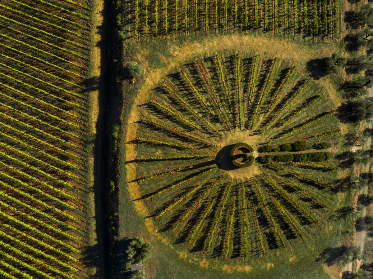 WEB_Terroir_Dievole2